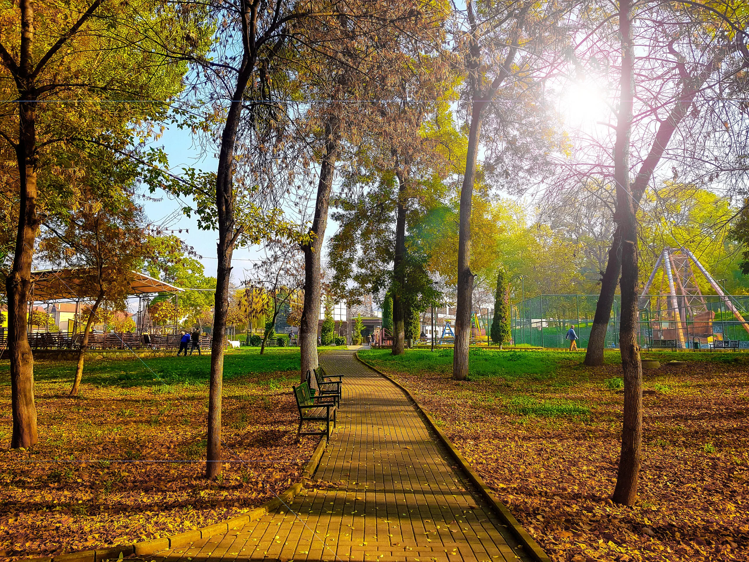 Këto janë benefitet shëndetësore të stinës së vjeshtës