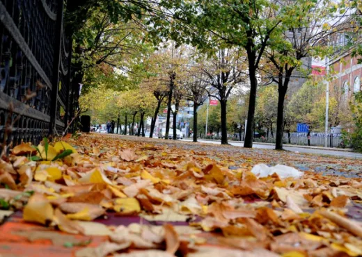Mëngjes i ftohtë, gjatë ditës temperatura deri në 22 gradë