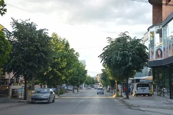 Kanosin njëri-tjetrin, arrestohen dy malishevas