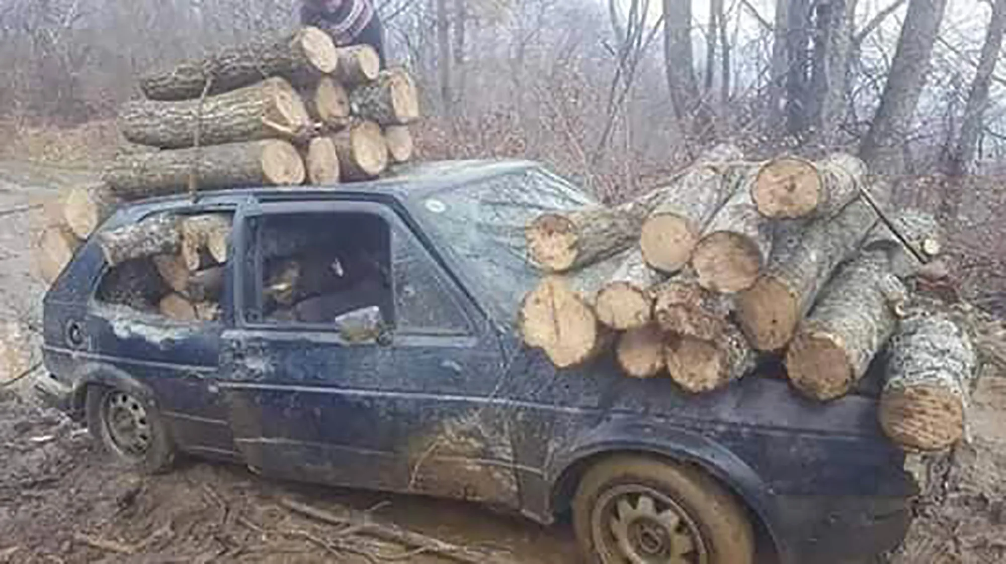Policia në Pejë kap hajnin që vidhte dru me Golf