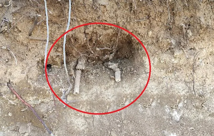 Gjenden mbetje mortore në Klinë, njoftohet njësiti për të zhdukur