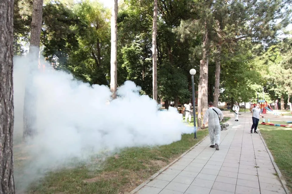 Në Suharekë bëhet dezinsektimi kundër rriqrave