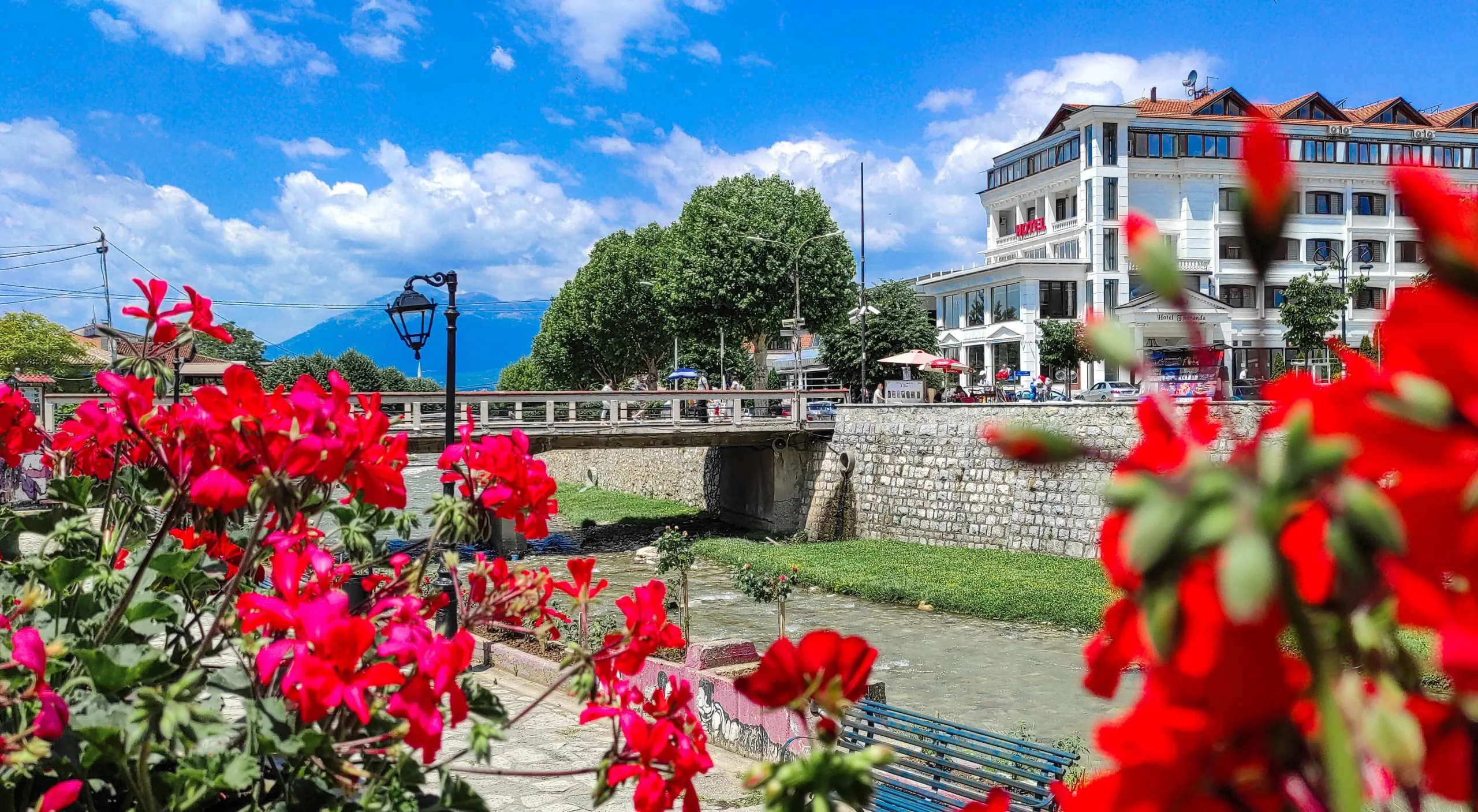 Parashikimi i motit për sot