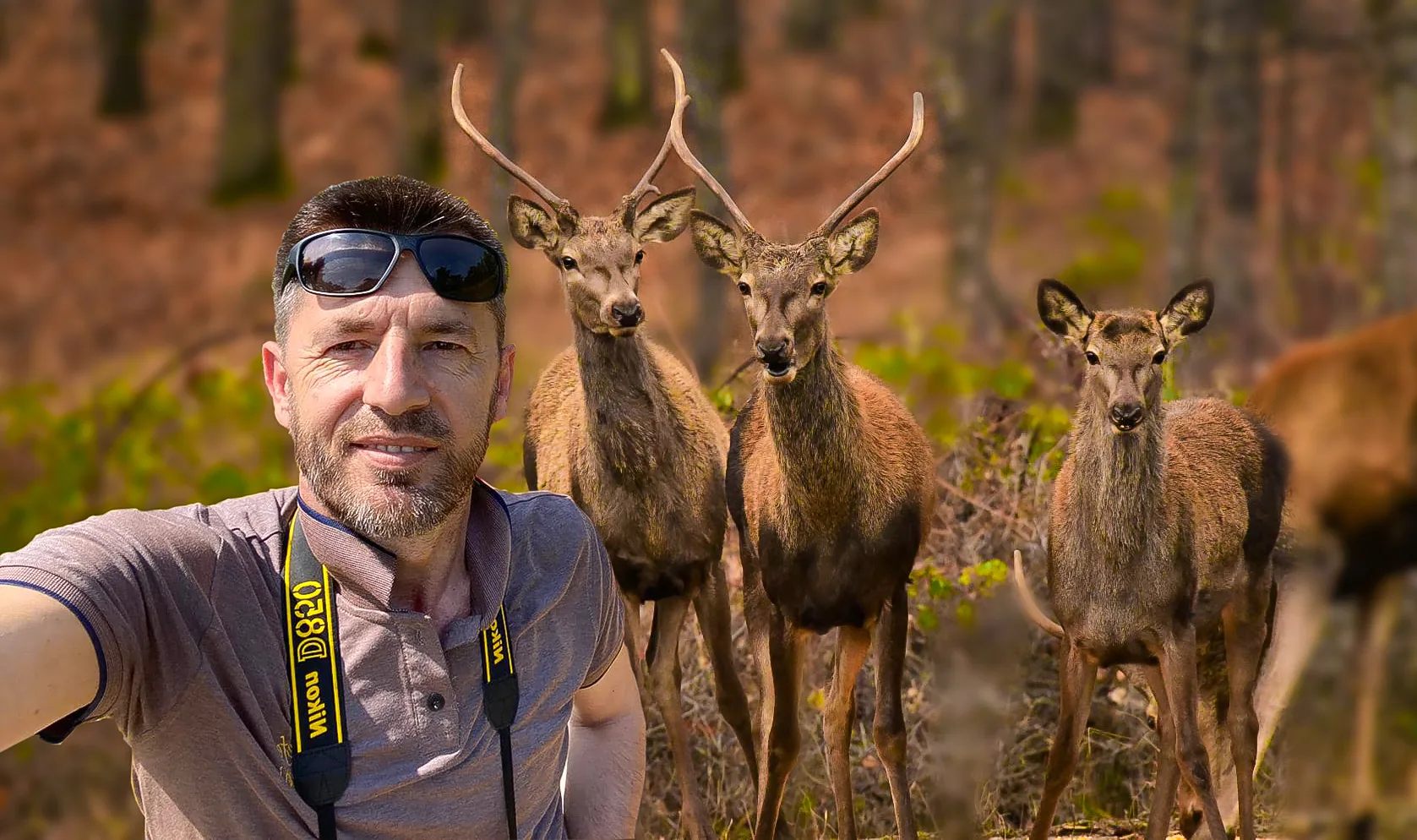 Fotografohet dreri i kuq në Blinajë të Lipjanit, nga anëtarët e ” Wildlife – Albanian Photographers”