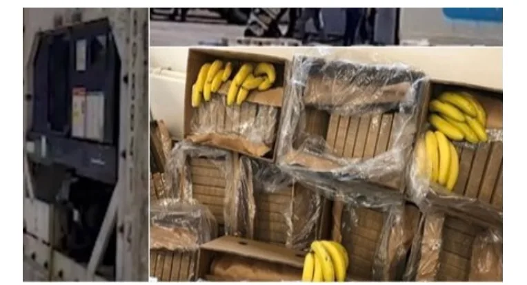 Sekuestrohen 100 kg kokainë në Durrës, ishte në kamionin e mbushur me banane