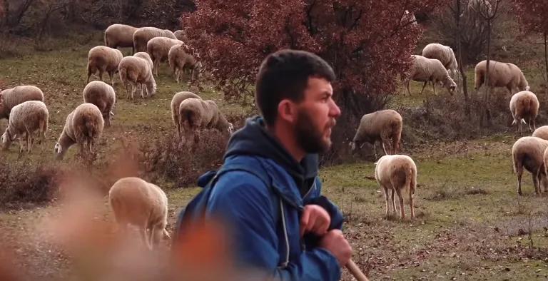 Bariu 29-vjeçar nga Kukësi që e “braktisi” familjen për të punuar në një fermë delesh në Zhur të Prizrenit