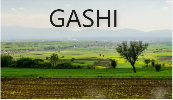 “Gashët e Gurit” – fshati në Kosovë ku të gjithë banorët e kanë mbiemrin Gashi