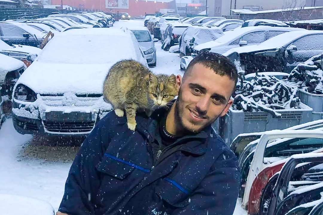 Automekaniku, Lavdim Brahimi shoqërohet nga një mace gjatë rregullimit të veturave, bën thirrje për kujdes ndaj kafshëve