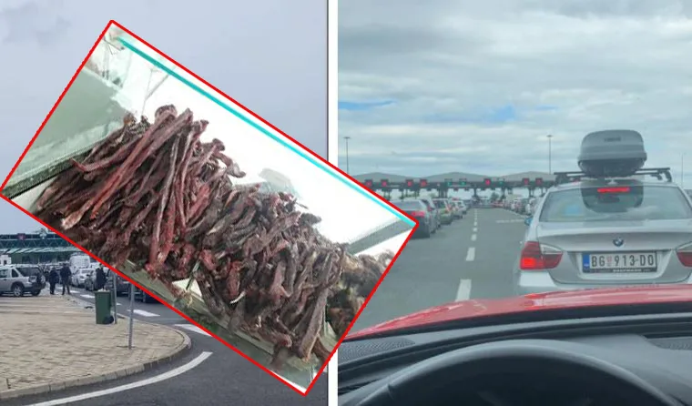 Mori me vete 50 kg mish, u dënua me 2100 euro në kufi të Kroacisë – Mërgimtar keni kujdes!