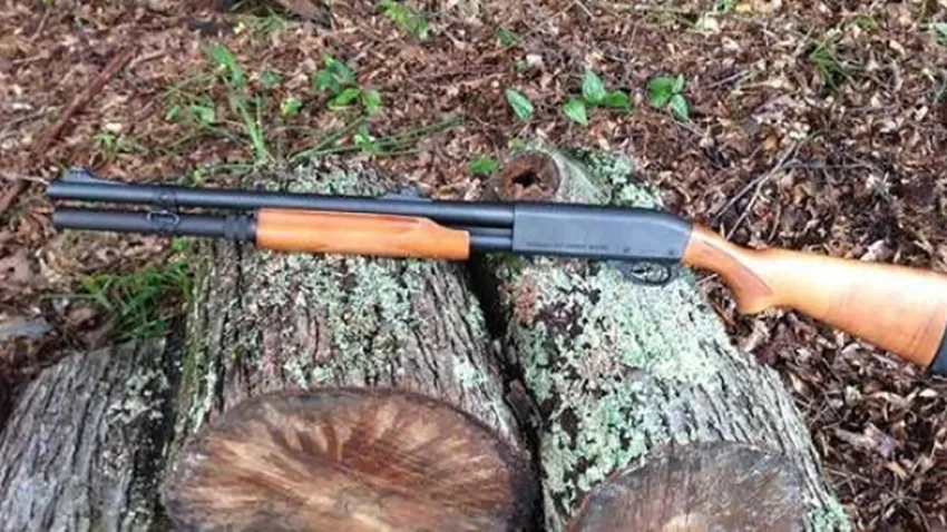 Arrestohet një person për gjueti të paligjshme në Prizren