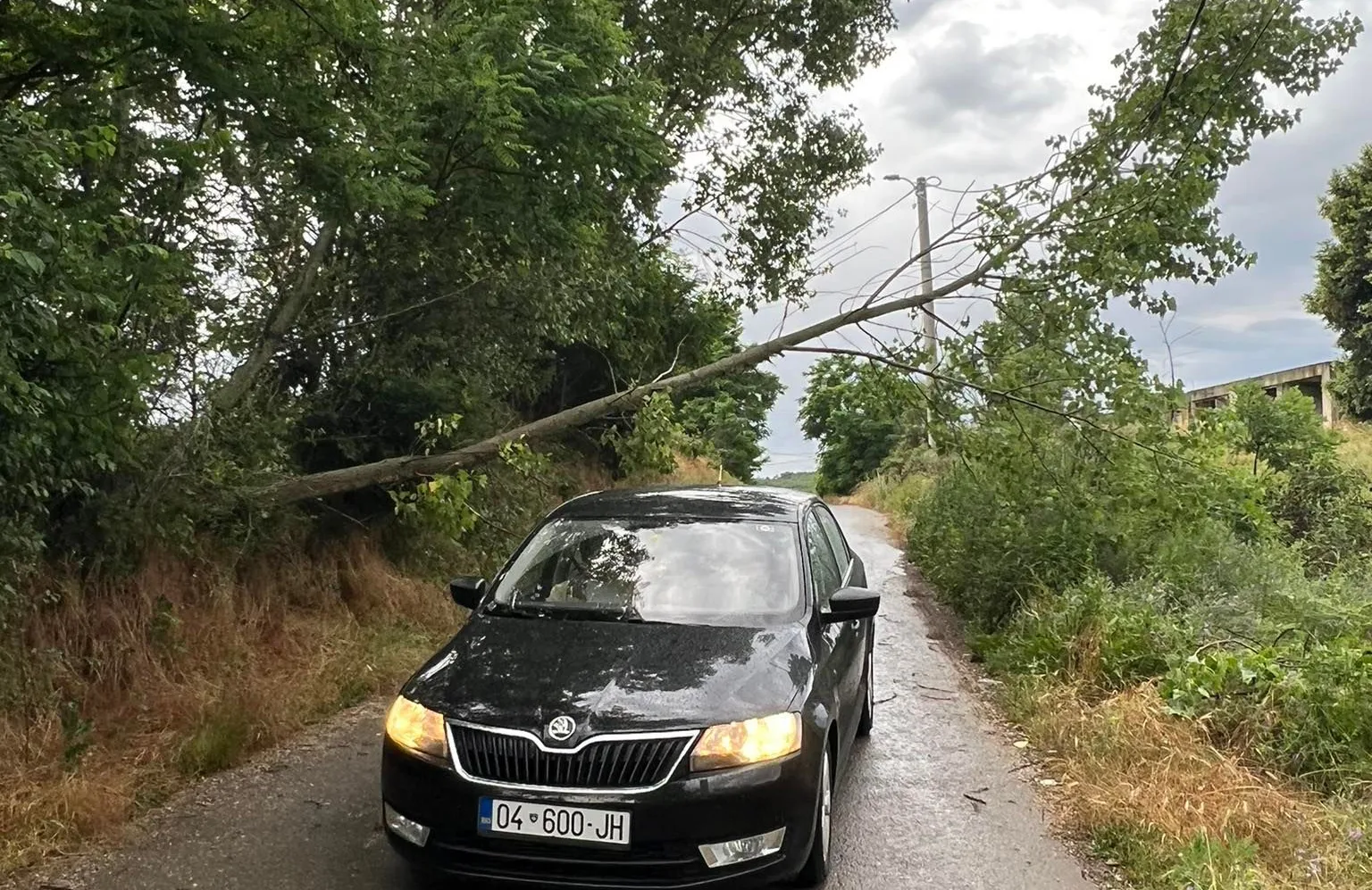 Rrëzohet një lis në fshatin Nashec, rrezikohen banorët