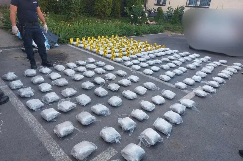 Sveçla: Sapo u zbuluan mbi 90 kg drogë e llojit marihuanë