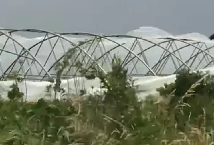 Erërat e forta shkaktojnë dëme të serrave në Landovicë