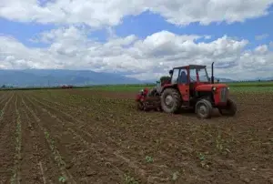 Ekzekutohen pagesat e subvencioneve për fermerët, mbi 6.6 milionë euro për mijëra përfitues