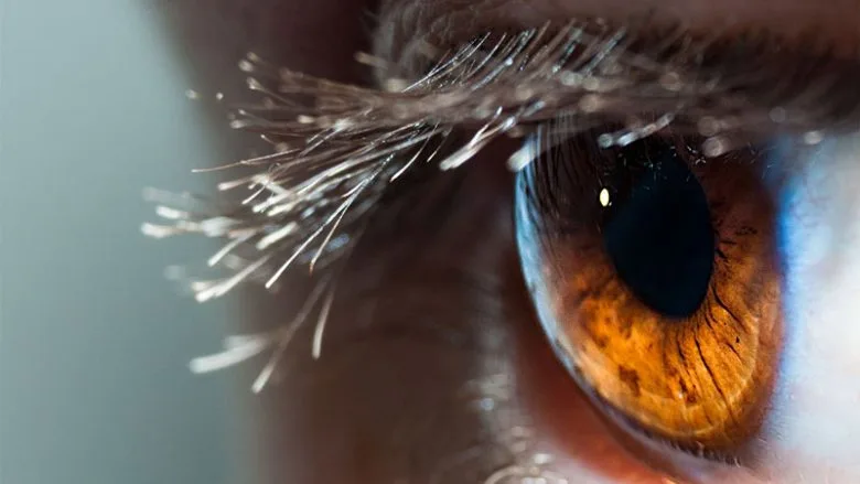 Disa të vërteta dhe të pavërteta lidhur me sytë dhe shikimin