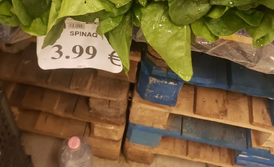E humb “kontrollin” çmimi i spinaqit, 3.99 kilogrami