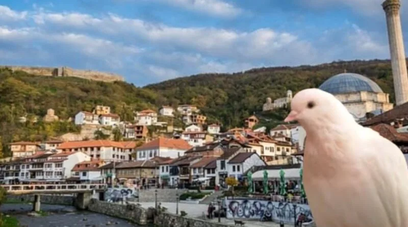 25-vjeçari në Prizren e bën ‘hallakamë’ në shtëpi, i rrah vëllezërit dhe hallën për një pëllumb