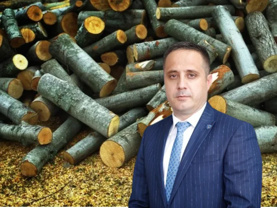 Selmanaj: 100 euro një metër dru, a ka qeveri ky vend?