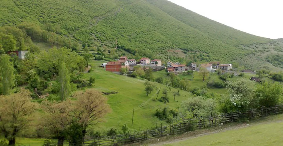 Dy shtetas të huaj theren me thikë në Vërmicë nga persona të panjohur