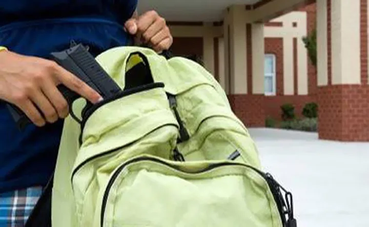 Sekuestrohen dy thika dhe një pistoletë nga nxënësit në Prizren