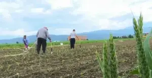 Kosova ushqehet nga importi, toka bujqësore mbetet e papunuar