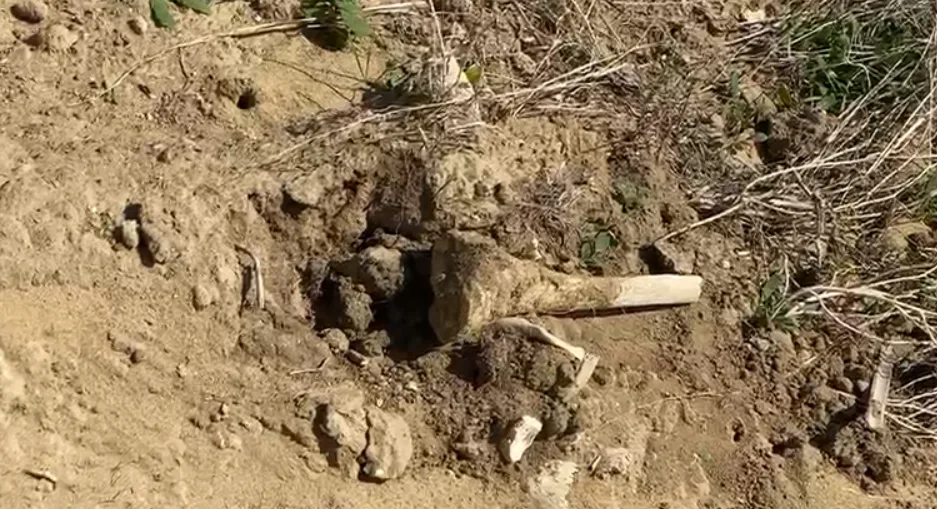 Gjenden eshtra të njerëzve në një skaj rruge në Skenderaj
