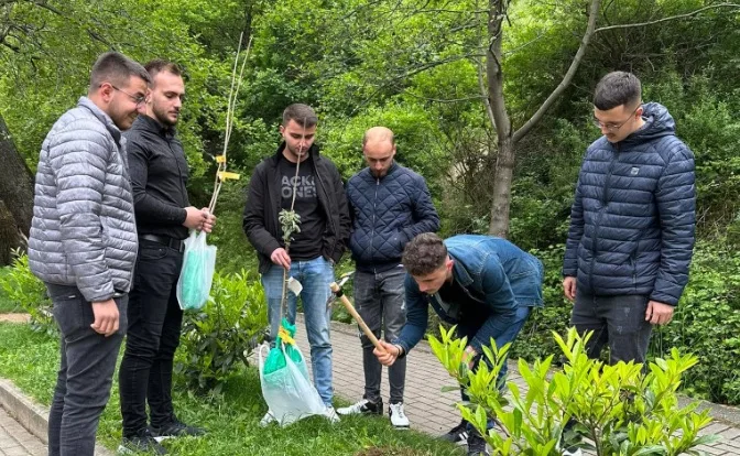 Të rinjtë e AAK-së në Prizren, mbollen fidane në Ditën e Evropës