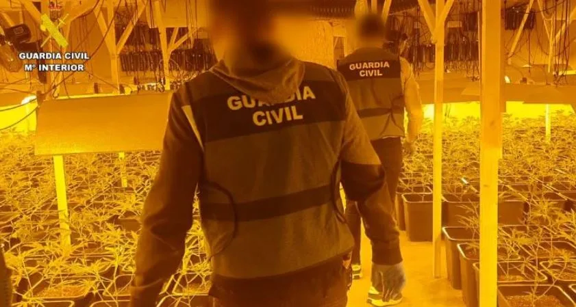Spanjë: Shkatërrohet banda shqiptare e marihuanës