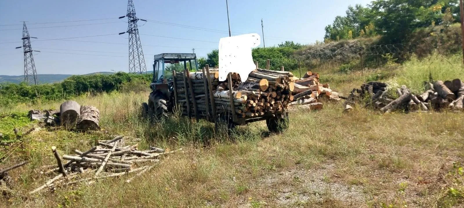 Arrestohen dy persona për prerje ilegale të pyllit dhe sekuestrohen drunë Maçitevë të Suharekës