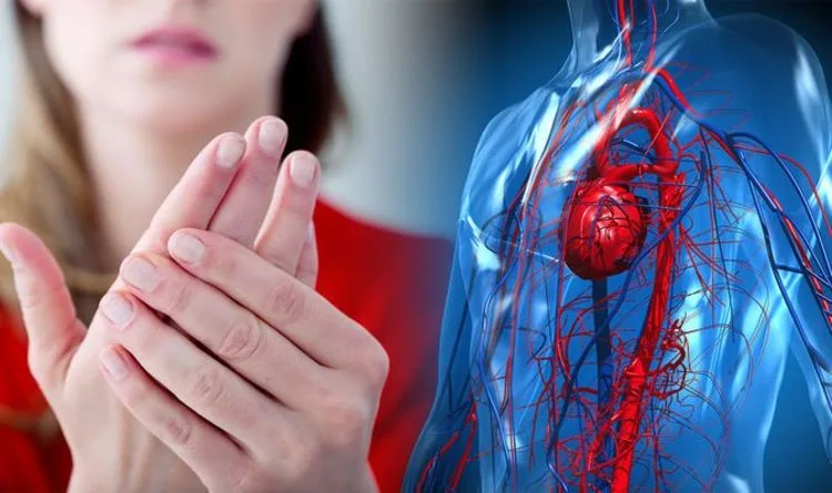 Banka Botërore për sëmundjet në vendin tonë: Kosovarët preken nga kanceri, diabeti dhe sëmundjet e zemrës