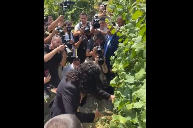 Rahovec: Osmani hap Hardh Fest-in me ceremoninë e prerjes së kalaveshit të rrushit