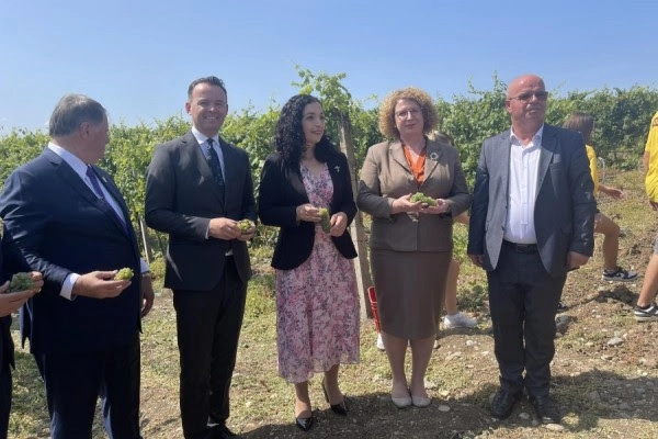 Nis Festa e vjeljes së rrushit, Osmani: Me këtë traditë po mbahet gjallë ekonomia