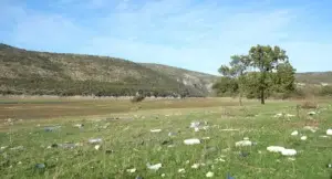 EC MA NDRYSHE: Kosova vazhdon që të përballet me sfida serioze në mjedis dhe ndryshime klimatike