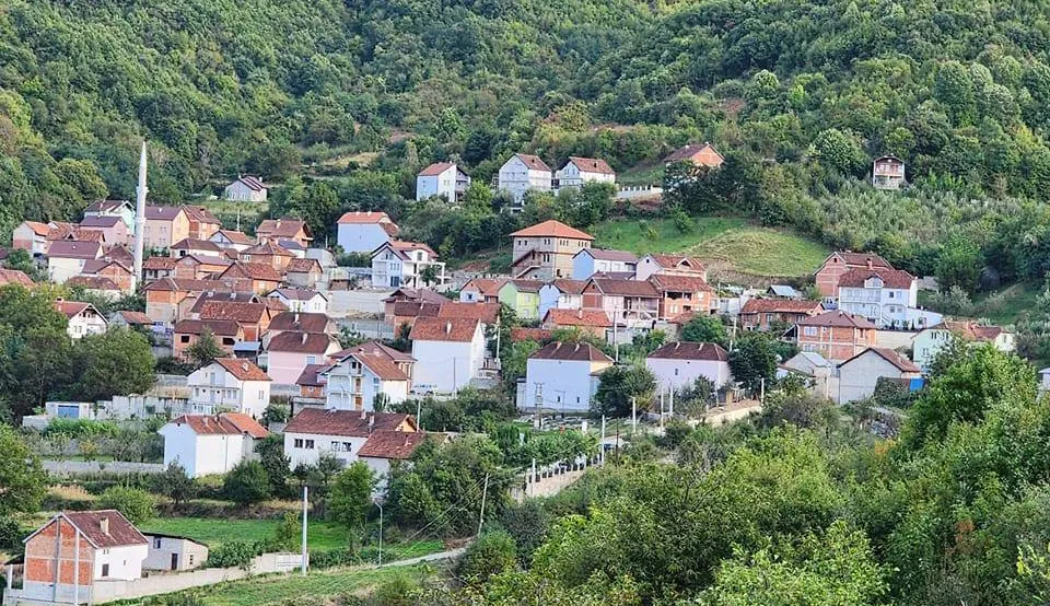 Sekuestrohen 5 pushkë gjysëm automatike në Jeshkovë