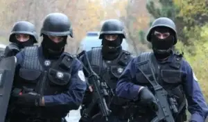 Arrestohet në Kosovë i kërkuari nga Gjermania për lëndim të rëndë me pasojë vdekjen