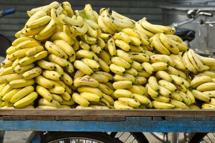 Bananet pritet të shtrenjtohen në të gjithë botën