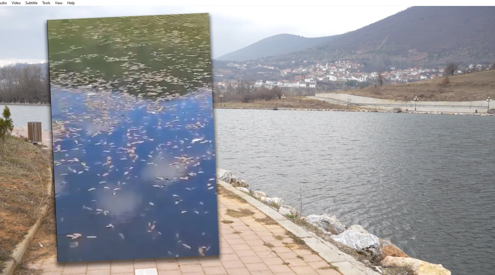 Ngordhin peshqit në Liqenin e Breznës, banorë kërkojnë reagimin e institucioneve