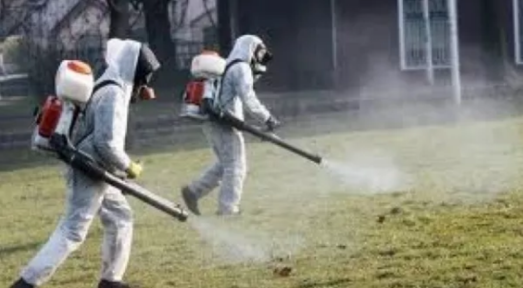 Rreziku nga rriqrat: Malisheva i kërkon ndihmë MSH-së