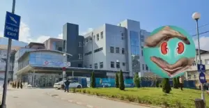 Sot, shënohet Dita Botërore e Veshkave