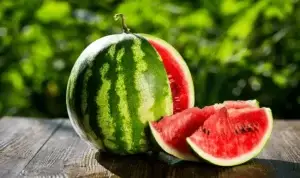 Ja përfitimet që sjell shalqini për shëndetin tuaj të përgjithshëm