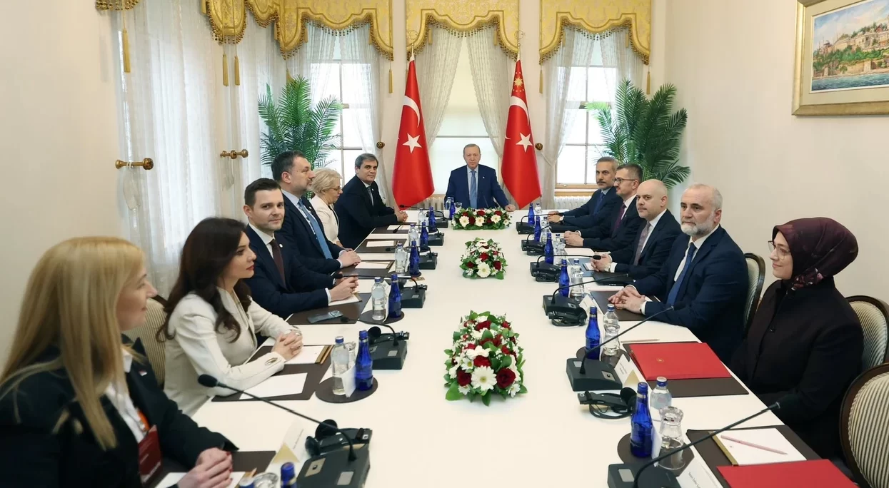 Platforma e Paqes për Ballkanin, presidenti turk Erdogan takoi ministrat e jashtëm të vendeve të Ballkanit Perëndimor