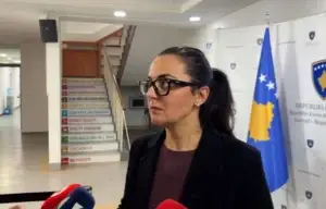 Lushaku-Sadriu: Jemi të gatshëm për zgjedhje, por fillimisht të provohet arritja e një marrëveshjeje