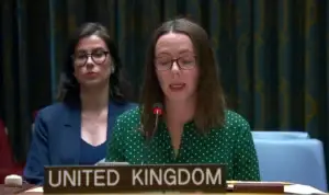 Britania në Këshill të Sigurimit bën thirrje për njohje të Kosovës