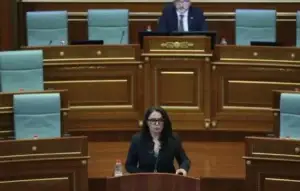 Lushaku: Rryma po vidhet në 87% të shtëpive për shkak të neglizhencës së Qeverisë