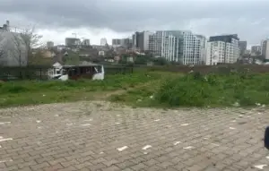 Shkoi ta vizitojë nënën e sëmurë në QKUK, përfundon si pacient nga kafshimi i qenve endacakë