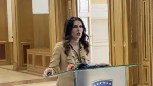 Çitaku: PDK është munduar t’i japë vendit president, LVV kërkoi nënshtrim