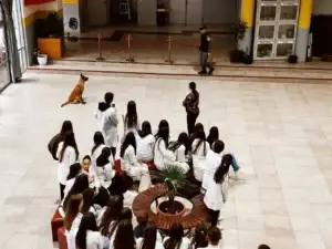 Policia në Prizren zhvillon fushatë ndërgjegjësuese me nxënësit kundër narkotikëve