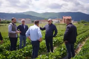 Totaj me bashkëpuntorë viziton fermerin, Isen Islamaj, në lagjen “Bajram Curri”