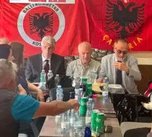Selmon Berisha zgjidhet kryetar i Ballit Kombëtar të Kosovës