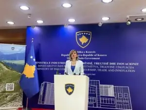 Rreth 200 mijë euro gjoba për njësorët, Kusari-Lila flet për keqpërdorimet në energji